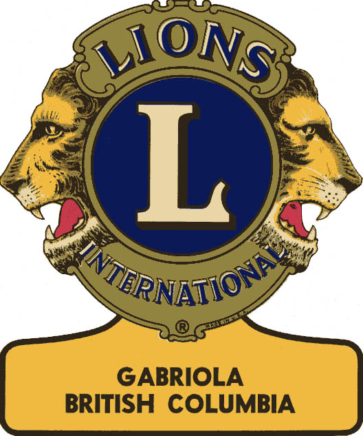 lions logo